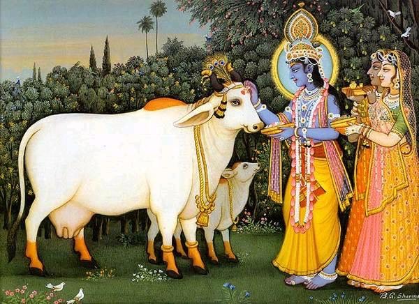 Cow in scriptures